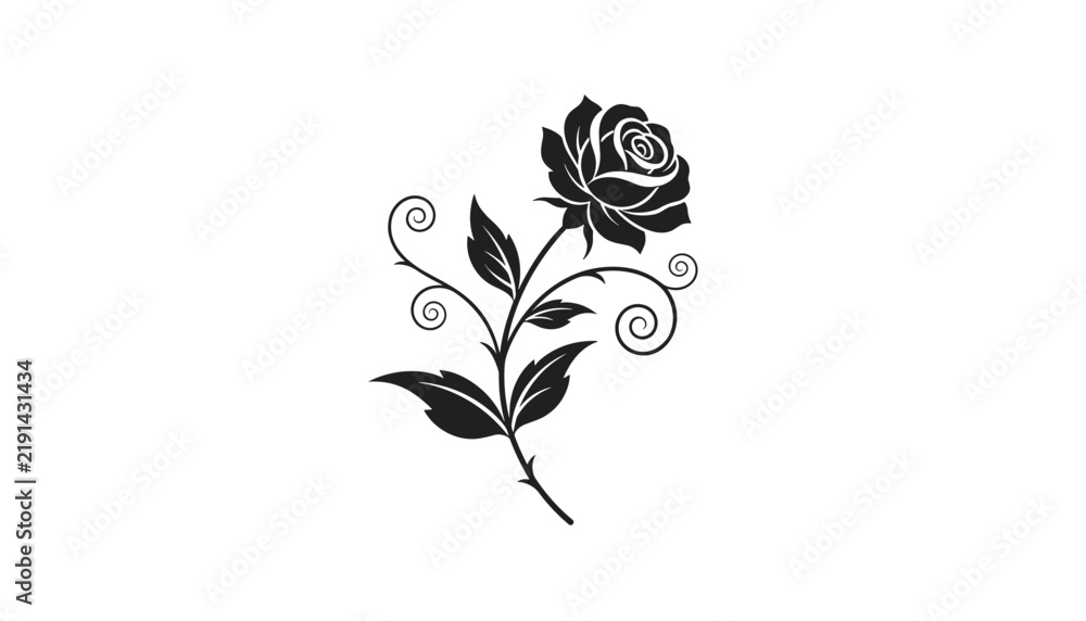 Fototapeta premium Stylized black rose illustration with elegant vine swirls and detailed leaves is isolated on a pure white background.
