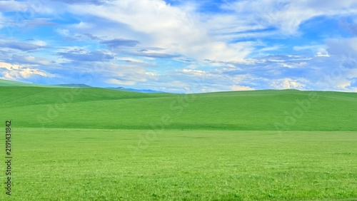 Canvas Print green field and blue sky