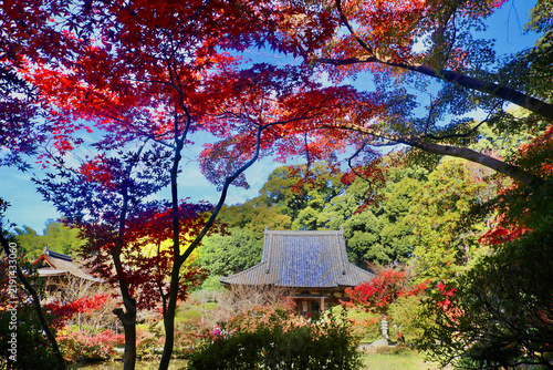 秋の長岳寺・ちょうがくじ（奈良県・天理市）