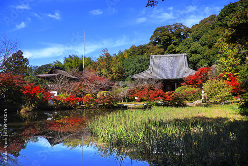 秋の長岳寺・ちょうがくじ（奈良県・天理市）
