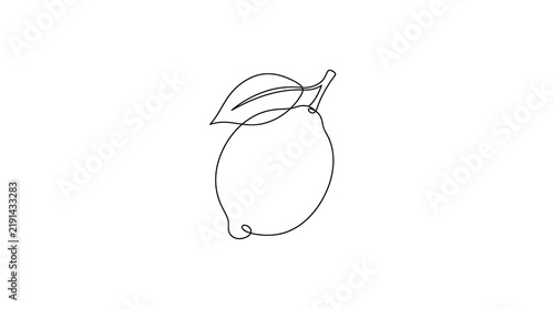 Simple line drawing of a single whole lemon fruit with a leaf attached for culinary use illustration ingredient culinary vitamins