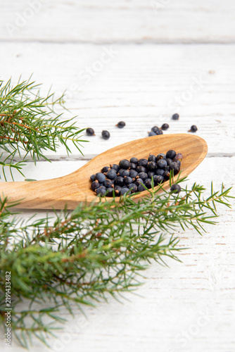Flat lay view of Juniper latin Juniperus communis berries on a wooden spoon, juniper tree branch with confier cones and berries scattered around, copy space. White wood board background.