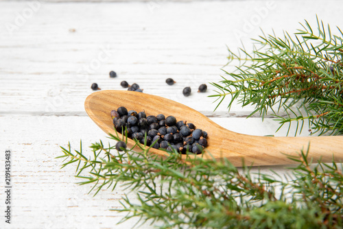 Flat lay view of Juniper latin Juniperus communis berries on a wooden spoon, juniper tree branch with confier cones and berries scattered around, copy space. White wood board background.