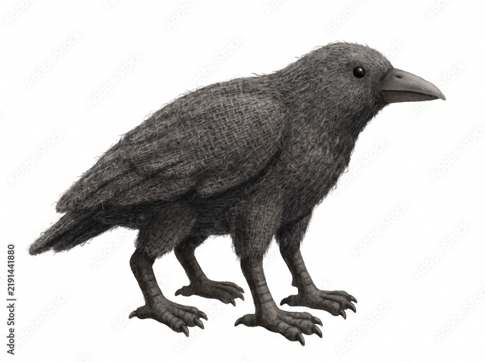 Fototapeta premium Charcoal textured black crow standing alert and isolated completely against a seamless white background.