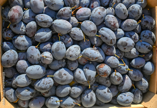 Pile of ripe purple plums for sale at a local market. Fresh juicy plums stacked on a market display.