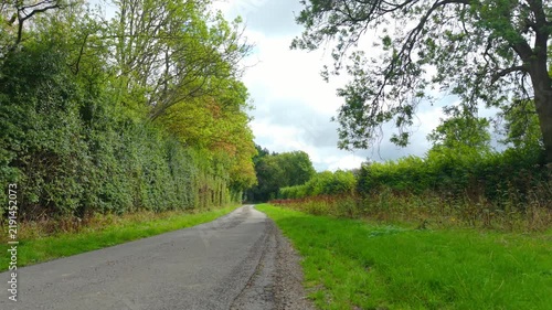 Narrow country road between green hedgerows and mature trees. Rural lane through woodland and grassy roadside under cloudy sky. Countryside transport route with dense vegetation and natural landscape