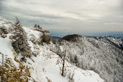 Beautiful winter landscape with hiking trail covered in snow in Mala Fatra, Slovakia. Scenic mountain view with frosted pine trees, rocky cliffs, hills, valleys and dramatic overcast cloudy sky.