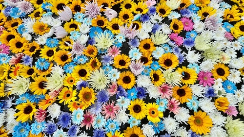 Plakat 色とりどりの花手水