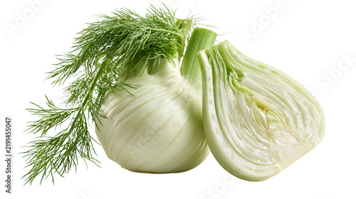 Obraz na plátne Fresh whole fennel bulb with green feathery fronds and a sliced half section