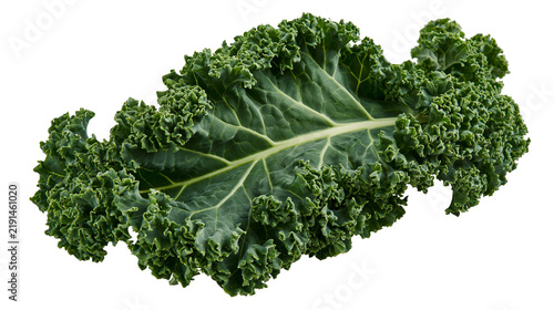 Fotografie Fresh green curly kale leaf with textured ruffled edges