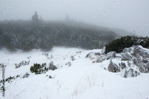Bild auf Leinwand Winter landscape with snow, rocks, Rax, Austria