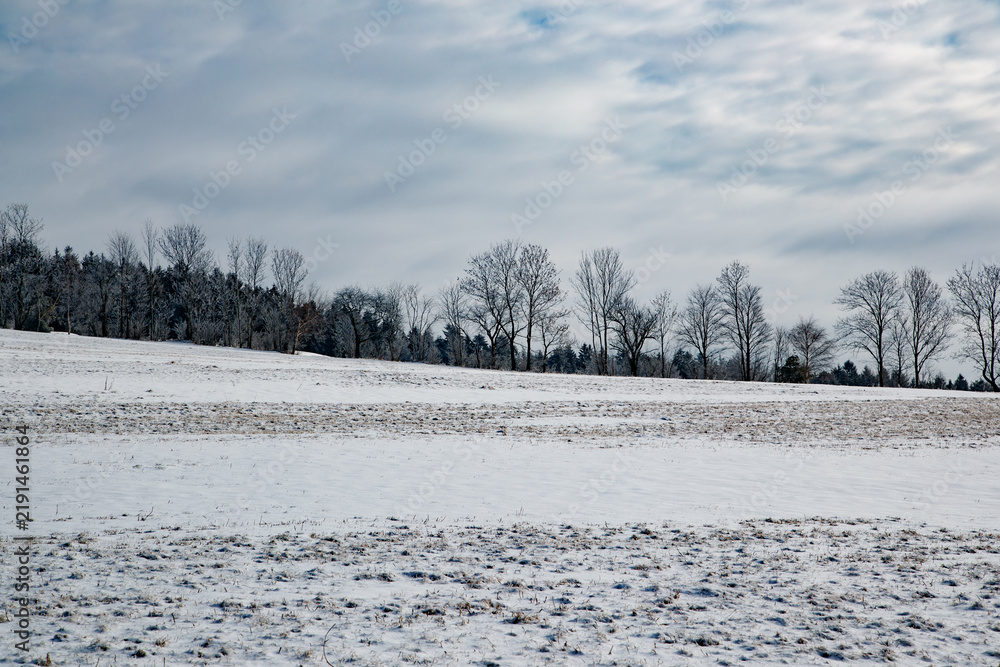 Obraz premium Panoramic winter landscape with snow-covered field and trees