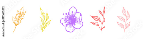 Set of five hand drawn botanical leaf and flower sketches on white background