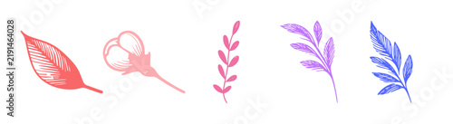 Set of five hand drawn botanical leaf and flower sketches on white background
