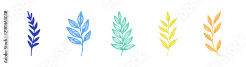 Set of five colorful hand drawn botanical leaf illustrations on white background
