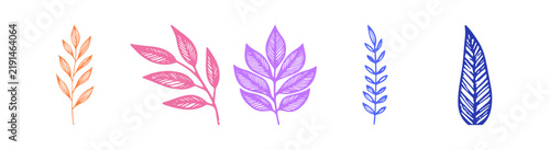 Set of five colorful hand drawn leaf illustrations on white background