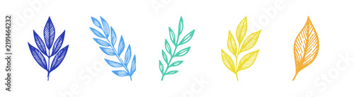 Set of five colorful hand drawn leaf illustrations on a white background