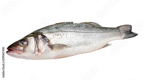 Quadro su tela Fresh whole raw European sea bass fish with shiny silver scales