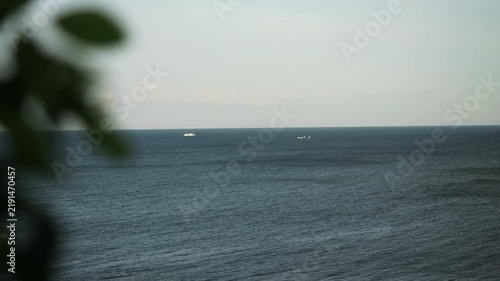 A Serene Shoreline with Calm Waters and Abundant Lush Vegetation for a Tranquil Escape