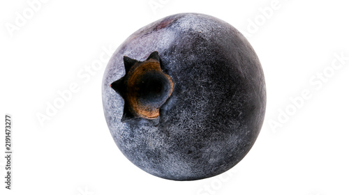 Фотография Single fresh ripe blueberry with waxy skin and star shaped calyx