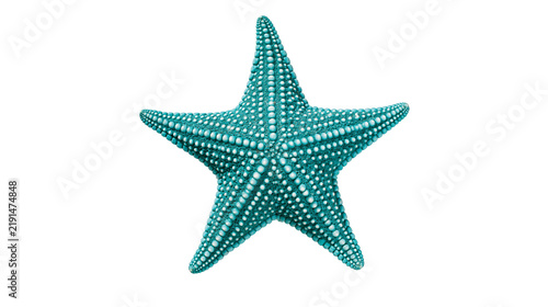 Obraz na plátne Teal blue textured starfish with bumpy surface and five pointed arms