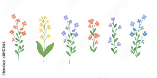 Beautiful set of garden and field flowers. Vector illustration hand drawn in a flat style.