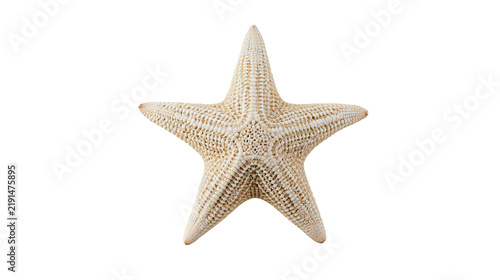 Bild auf Leinwand Five-pointed beige starfish with textured bumpy surface and radial symmetry