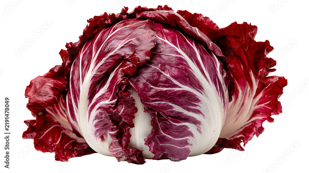 Fototapeta premium Fresh whole radicchio head with deep red leaves and white veins