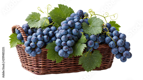 Fresh dark purple grapes with green leaves in a woven brown wicker basket