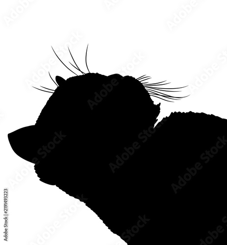 Black cat silhouette profile head with long whiskers isolated on transparent background, minimal graphic vector illustration for pet or animal concepts