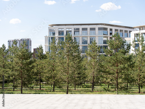 Картината върху платно Modern residential buildings rising behind a row of green pine trees in Astana, Kazakhstan