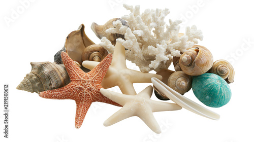 Foto Assorted seashells starfish, and white coral branch collection