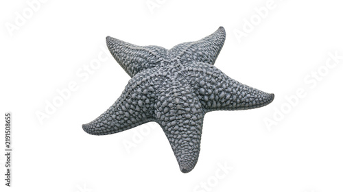 Foto Textured grey starfish with bumpy surface and five pointed arms