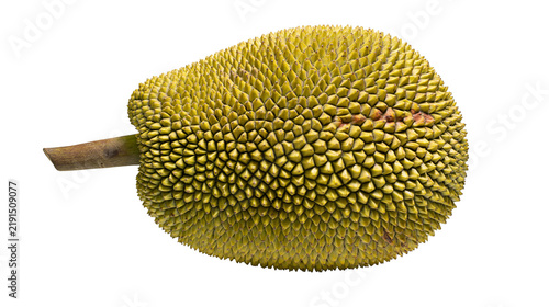 Konstfotografi Whole fresh ripe jackfruit with spiky green skin and brown stem