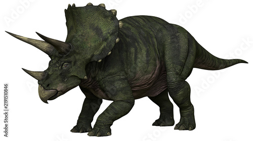 Картината върху платно Green textured Triceratops dinosaur with three horns and large bony neck frill