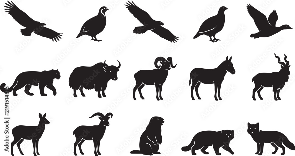 Obraz premium Set of black silhouettes of central asian wildlife, including birds of prey, mountain mammals, ungulates, and predators on a white background