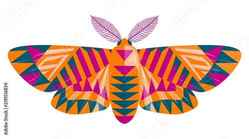 Geometric stylized moth with vibrant orange magenta and teal triangular patterns