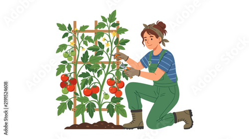 Gardener Tending Tomato Plants on Trellis