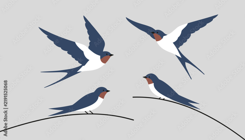 Obraz premium Swallows in flight and sitting on wires against a plain gray background, depicted in a clean minimalist vector illustration.