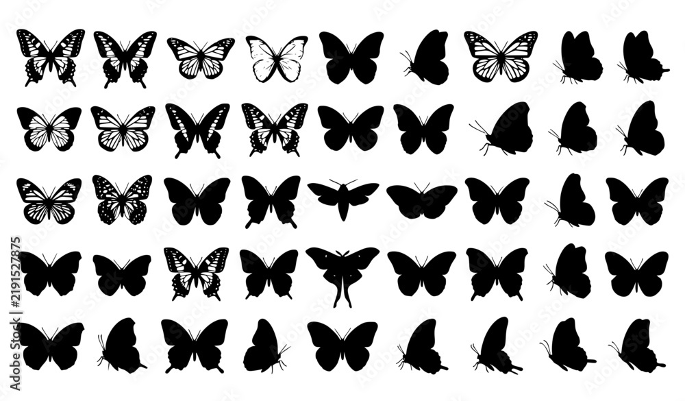 Fototapeta premium Lepidoptera Butterfly Silhouette Vector Collection