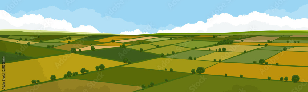 Obraz premium Spring landscape with green field and countryside farm, Summer agriculture scenery and panoramic rural nature, Autumn farmland with blue sky and clouds for seasonal background and vector illustration