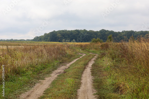 Obraz na płótnie A dirt road winds through autumn fields and dry grass toward a dense green forest on the horizon