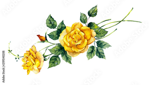 Pattern from yellow rose. Wedding drawings. Watercolor painting. Greeting cards. Flower backdrop. 