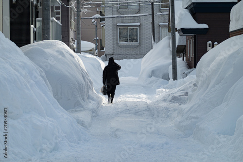 Plakat 積雪の住宅街を歩く人物の後姿、北海道札幌市