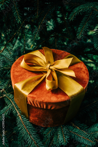Christmas gift box with bow beside fir branch, side view, stylish and luxurious