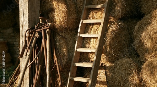 a wooden ladder leaning against a wall covered in hay bales. The hay is a goldenbrown color, and the ladder is weathered, with visible signs of wear and tear.
