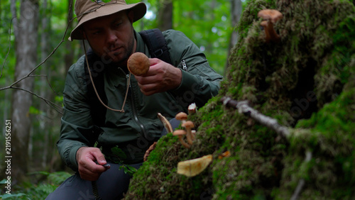 Foto Close up of a man examining a harvested wild porcini mushroom while foraging near a mossy stump in an autumn forest