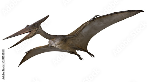Konstfotografi Flying Pteranodon dinosaur with large wingspan and sharp beak