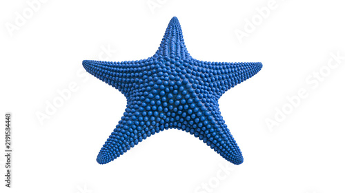 Quadro su tela Vibrant blue textured starfish with bumpy surface and five pointed arms