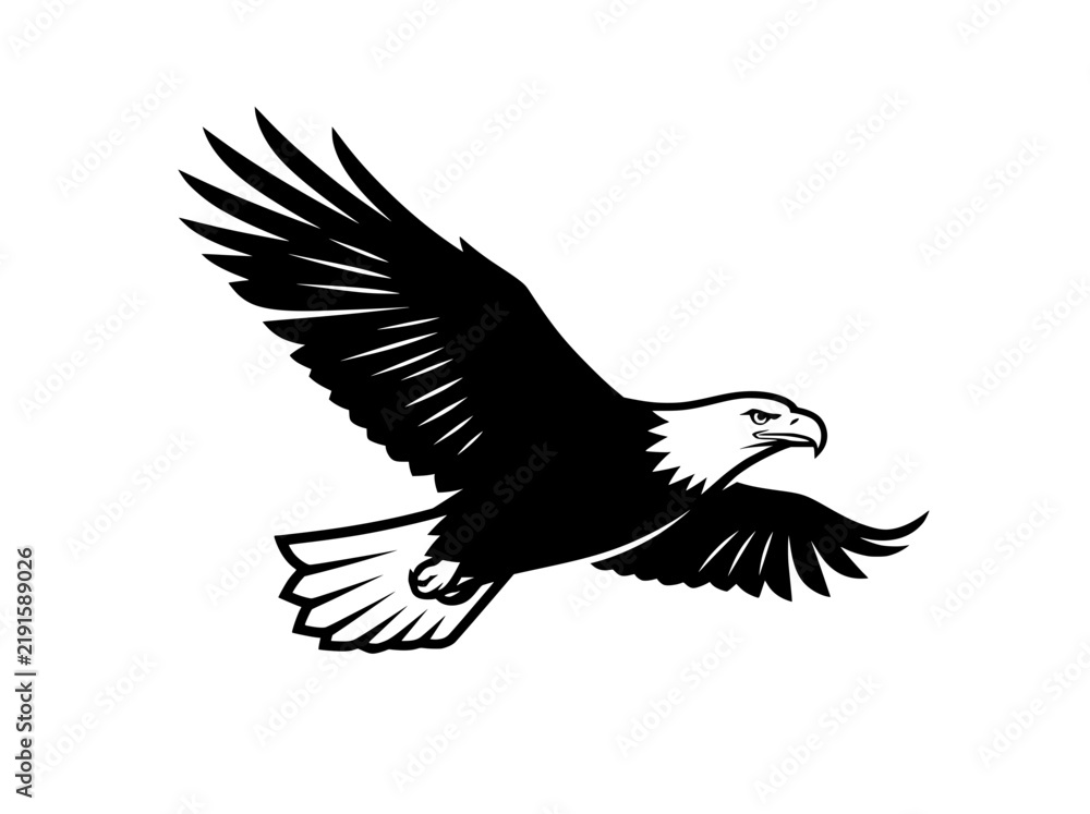 Fototapeta premium Bald eagle vector illustration, majestic flying bird of prey, black and white eagle mascot logo for sports and branding